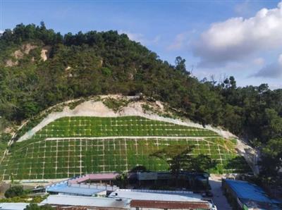 鎮(zhèn)遠縣青溪鎮(zhèn)河東村巖山腳組滑坡地質災害防治工程